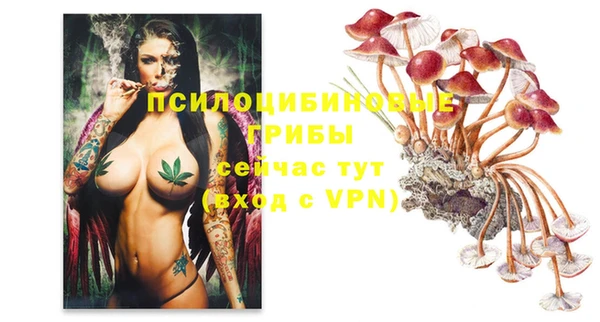 PSILOCYBIN Алексеевка