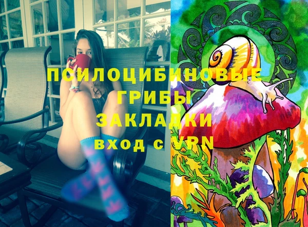 PSILOCYBIN Алексеевка